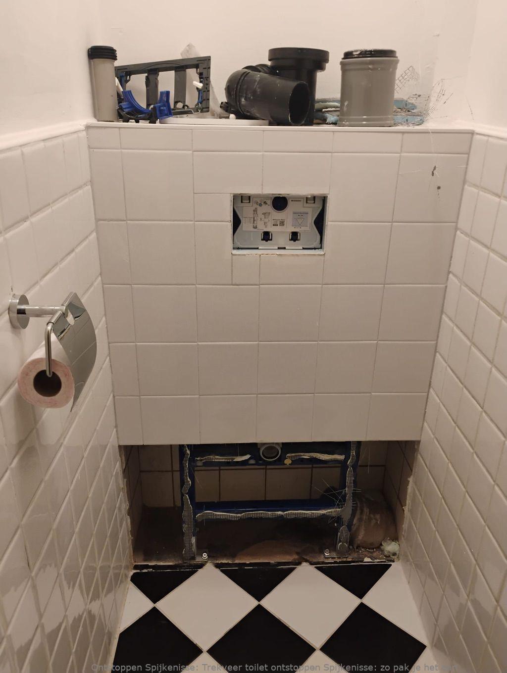 Trekveer toilet ontstoppen Spijkenisse: zo pak je het aan